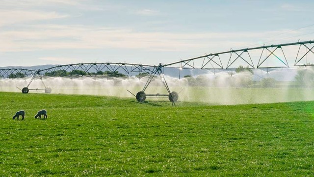 Brush Energy Resources irrigation prices