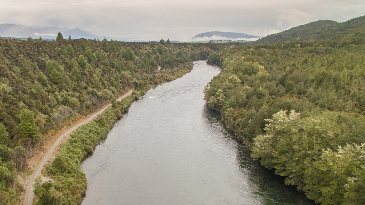 Waiai river